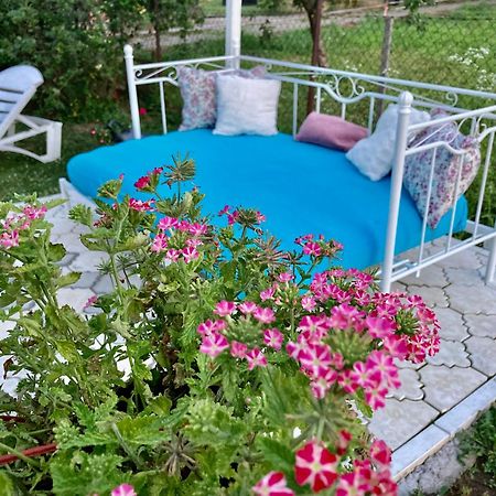 נובי סאד White House With Sauna And Jacuzzi מראה חיצוני תמונה