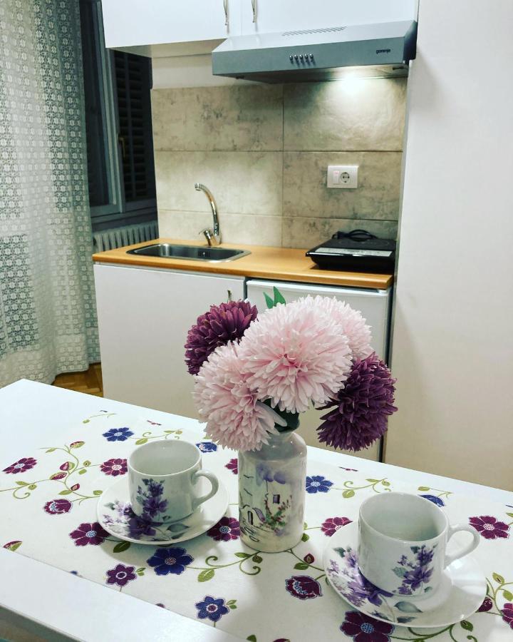 נובי סאד White House With Sauna And Jacuzzi מראה חיצוני תמונה