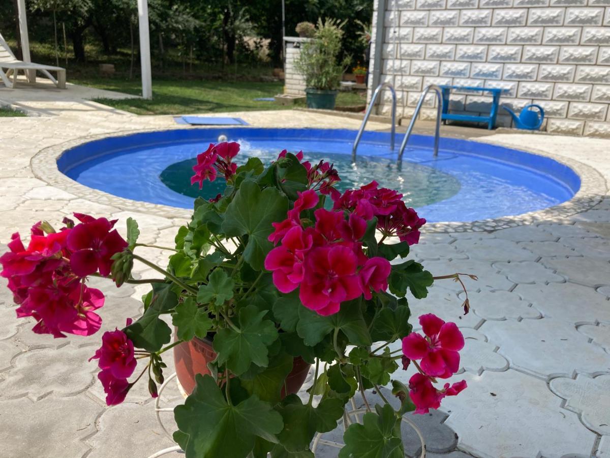 נובי סאד White House With Sauna And Jacuzzi מראה חיצוני תמונה