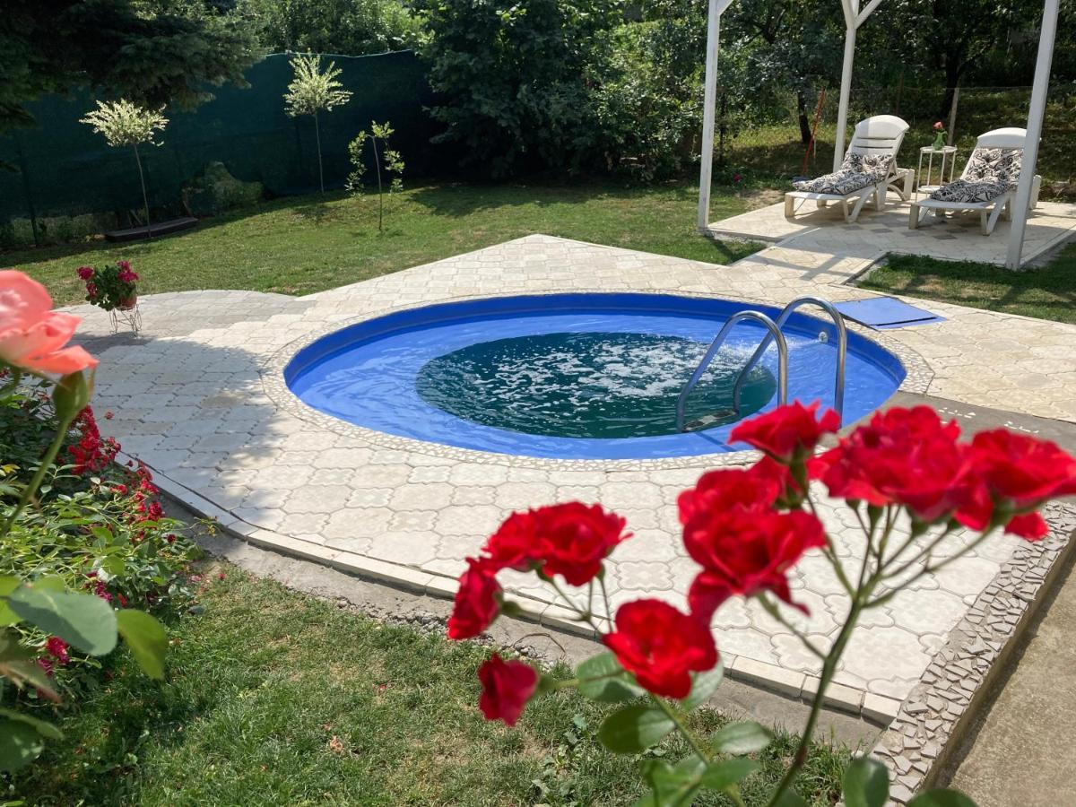 נובי סאד White House With Sauna And Jacuzzi מראה חיצוני תמונה