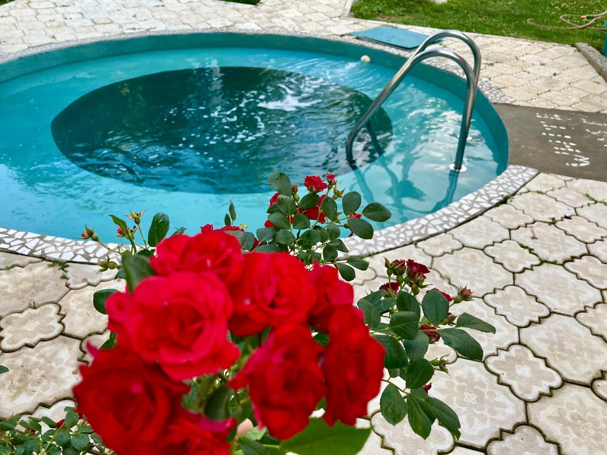 נובי סאד White House With Sauna And Jacuzzi מראה חיצוני תמונה