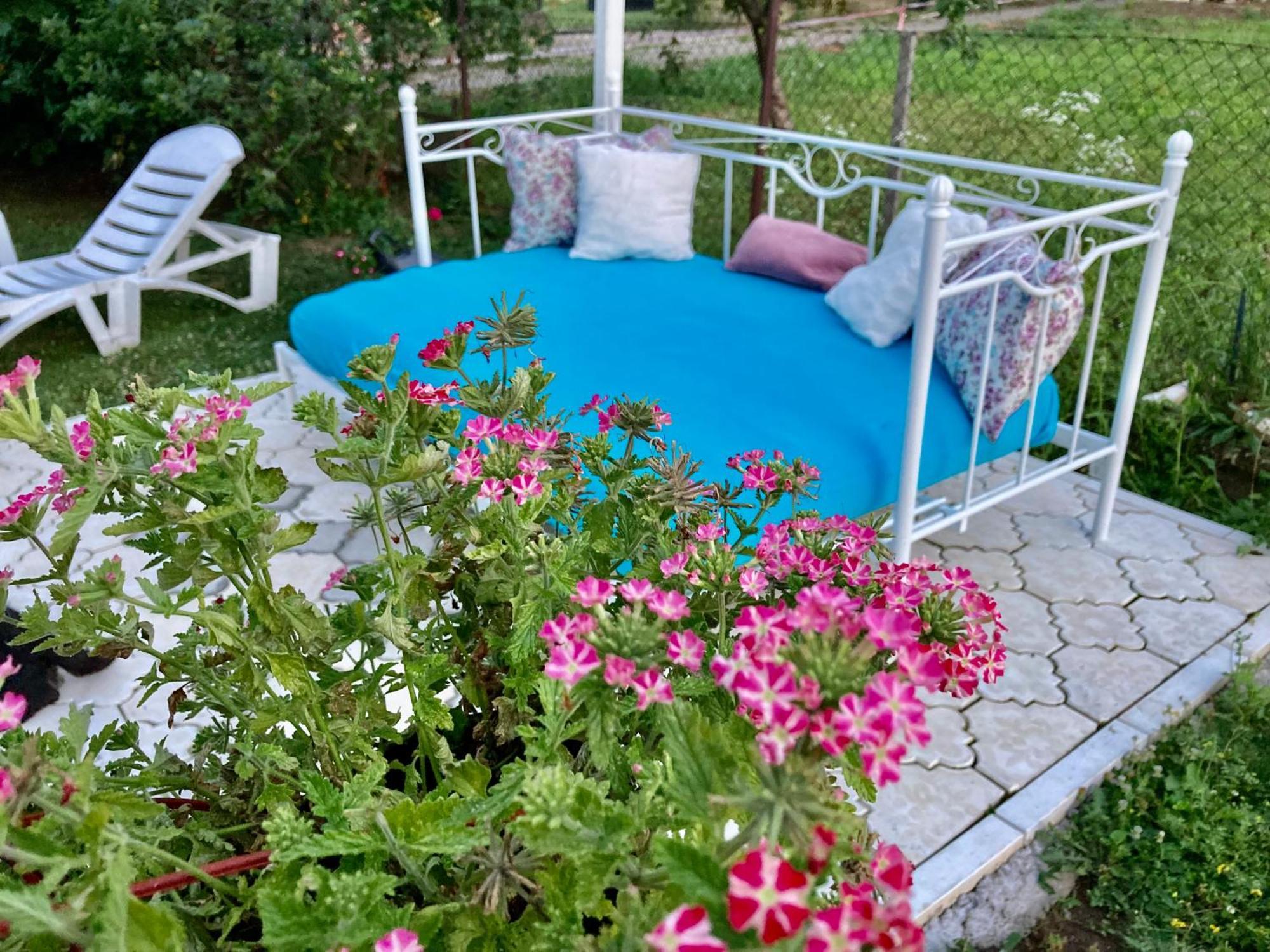 נובי סאד White House With Sauna And Jacuzzi מראה חיצוני תמונה