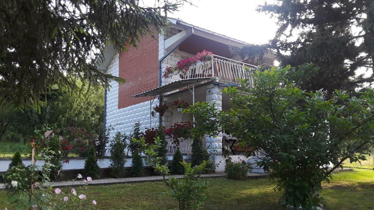 נובי סאד White House With Sauna And Jacuzzi מראה חיצוני תמונה